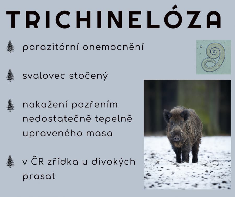 2026-04-22-Facebook příspěvek 940x788  px (7).jpeg